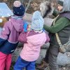 02 Aktion Februar 25 Tiere im Winterwald